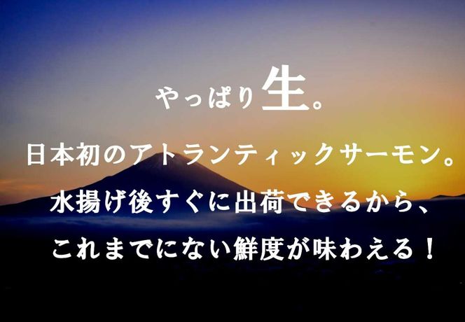 C48【1月24日(金)発送】日本初！今話題の国産アトランティックサーモン「FUJI ATLANTIC SALMON」【生】600ｇ