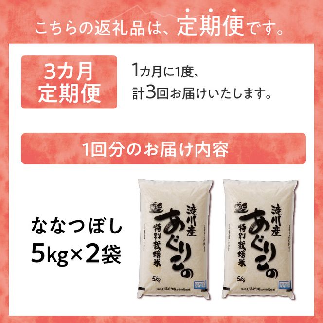 《令和7年産》特別栽培米ななつぼし 10kg×3ヵ月定期便 | 16年連続特A ブランド米 白米 精米 米 お米 こめ 減農薬 単一原料米 ご飯 北海道米 北海道 滝川市