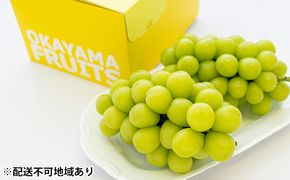ぶどう 2026年 先行予約 ご家庭用 シャイン マスカット 2～3房 合計約1.2kg ブドウ 葡萄  岡山県産 国産 フルーツ 果物 ギフト