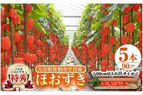 ＜先行予約受付中！お盆前頃に発送予定＞驚きの大きさ！ 宇目産ほおずき(5本・2L) 生花 お盆 仏花 鬼灯 お盆飾り お供え 盆 ホウズキ 盆 飾り 切花 切り花 大分県 佐伯市【BZ63】【清幸農園】