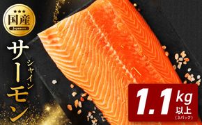 G5749 シャインサーモン 1.1kg以上【3パック 国産 小分け さーもん 鮭 さけ シャケ しゃけ 冷凍 サイズ不揃い 訳あり】
