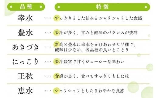 【 JA 北つくば 】 筑西ブランド 認証品 豊水 10kg 2026年産 先行予約 梨 果物 フルーツ なし ナシ 豊水梨 くだもの デザート 茨城 [AE011ci]