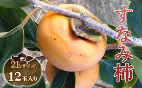 すなみ柿 贈答用 2Lサイズ 12玉【瑞穂市発祥の希少甘柿】|柿 かき カキ フルーツ 果物 すなみ柿 贈答 贈答用 プレゼント ギフト 贈り物 希少 2L 人気 秋 秋の味覚 旬 デザート おやつ 産地直送 岐阜 瑞穂市 送料無料 ※2026年11月～発送