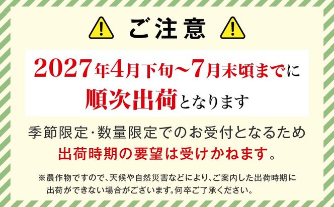 【先行予約 2027年発送分】宮崎県産 完熟マンゴー 2玉 2L_kn119-001
