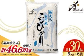 米 令和8年 無洗米 こしひかり 精米 5kg 6袋 計 30kg [中橋商事株式会社 石川県 宝達志水町 38601424] お米 こめ コメ 令和8年産 コシヒカリ 白米 ごはん ご飯 5キロ 30キロ 時短 むせんまい 能登 石川