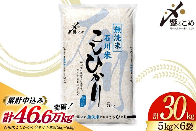 米 令和8年 無洗米 こしひかり 精米 5kg 6袋 計 30kg [中橋商事株式会社 石川県 宝達志水町 38601424] お米 こめ コメ 令和8年産 コシヒカリ 白米 ごはん ご飯 5キロ 30キロ 時短 むせんまい 能登 石川