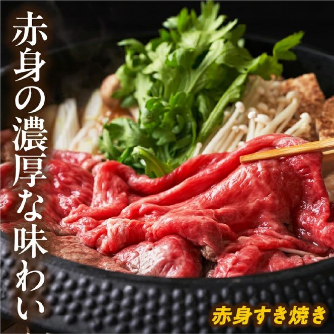 【A4等級以上】宮崎牛赤身スライス 500g（内閣総理大臣賞 A4 A5 宮崎牛 牛肉 黒毛和牛 赤身 すき焼き しゃぶしゃぶ スライス 宮崎県）