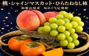 【全3回】夏と秋を味わうフルーツ定期便 (桃・マスカット・柿)【tkb370】