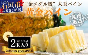 【先行予約】《2025年夏季 順次発送》黄金パイン大玉２個入 計3.0kg 【 産地直送 沖縄 石垣 フルーツ パイナップル パイン 黄金パイン 】 SI-51