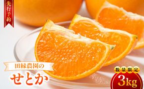 【先行予約】【数量限定】田縁農園のせとか3kg ※離島への配送不可 （2027年3月5日より順次発送） IKTA015