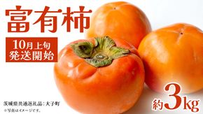 富有柿 約3kg 【2025年10月上旬発送開始】(茨城県共通返礼品：大子町) 柿 カキ かき 果物 フルーツ 旬 季節限定 期間限定