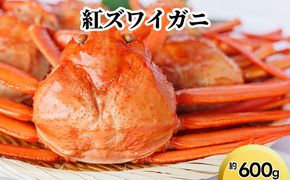 紅ズワイガニ約600g ※2025年9月中旬～2026年3月下旬頃に順次発送予定
