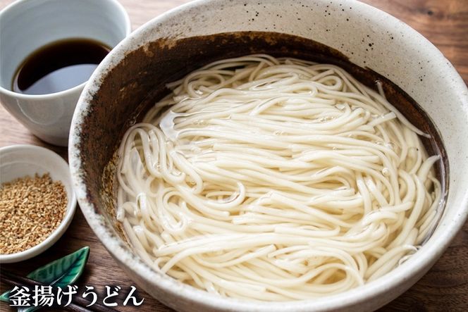 さっとできてさっと食べられる ささっとうどん 10入【うどん 乾麺 佐賀県産 簡単】(H014139)