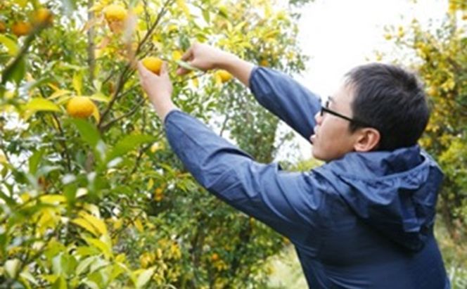 ニャンとも可愛い柚子マーマレード【柚子ニャーニャレード2個セット】 ジャム 