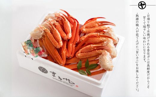 【香住ガニ 茹で切り 6肩 大サイズ 冷蔵】【令和8年9月中旬以降発送予定】国産 蟹 かに カニ 香住ガニ 紅 べに ずわいがに ベニ ズワイガニ 食べ応え 最上質 見定め 競り落とし 旨味 甘味 鮮度抜群 産地直送 大人気 ふるさと納税 返礼品 おすすめ 兵庫県 日本海 香住 漁港 香美町 マルヤ水産 11-12