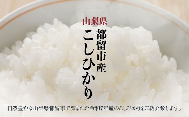 【令和７年産新米・予約】山梨県都留市産こしひかり 選べる容量[5kg・10kg] FB038.FB039