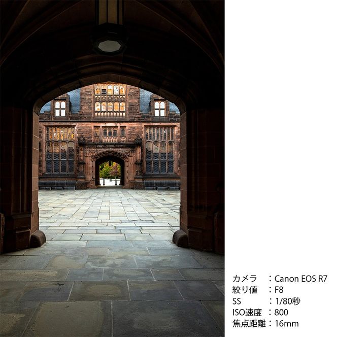 SIGMA 16mm F1.4 DC DN | Contemporary【ソニーEマウント】