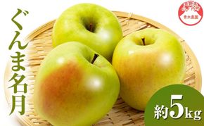 【2026年11月発送】 ぐんま名月約5kg 13～18玉 りんご 長野県産