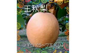 王秋梨 3kg【まえた農園】 312011_BK006