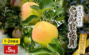 りんご【1～2月発送】糖度13度以上 ぐんま名月 おもてなし品  約5kg【青森りんご】