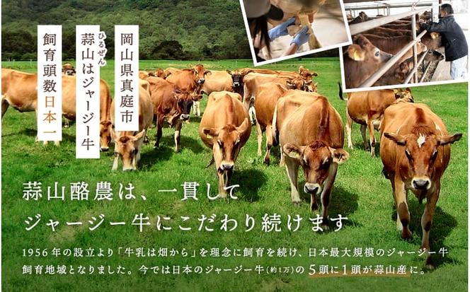 【定期便6カ月】 ヨーグルト 蒜山ジャージー贅沢ヨーグルト(90g)10個×6回 ご当地ヨーグルトグランプリ金賞 岡山 蒜山 真庭 プレゼント 贈答 セット デザート ギフト 牛乳 冷蔵 【hiru-tkb006】