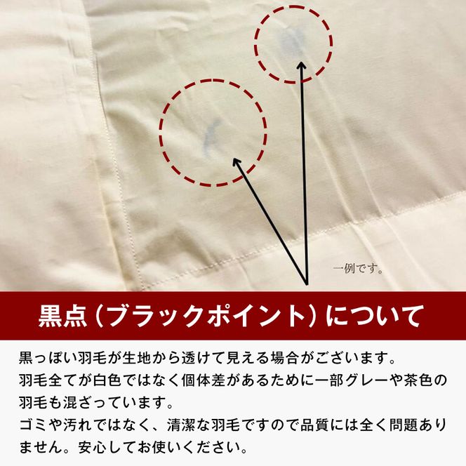 ロイヤルゴールド 羽毛布団 ポーランドマザーグース93％ シングル無地 1.0kg 