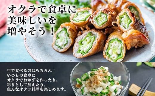 希少！黒島さんの採れたてオクラ100本セット（特別栽培、栽培期間中農薬不使用）10月下旬以降順次発送【 沖縄県 石垣市 沖縄 石垣島 おくら オクラ 野菜 採れたて フレッシュ 夏野菜 冬野菜 南国 離島のいいもの 沖縄いいもの石垣島 】OI-7