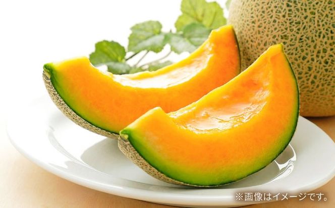 【2026年5月〜発送】タカミメロン レッド 2箱 （1箱 3～6玉）/ メロン めろん フルーツ 果物 / 南島原市 / 南島原果物屋[SCV032]