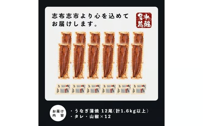 【数量限定】鹿児島県産うなぎ蒲焼 名水慈鰻 12尾(1尾約120g以上)＜計約1.6kg以上＞ f2-003