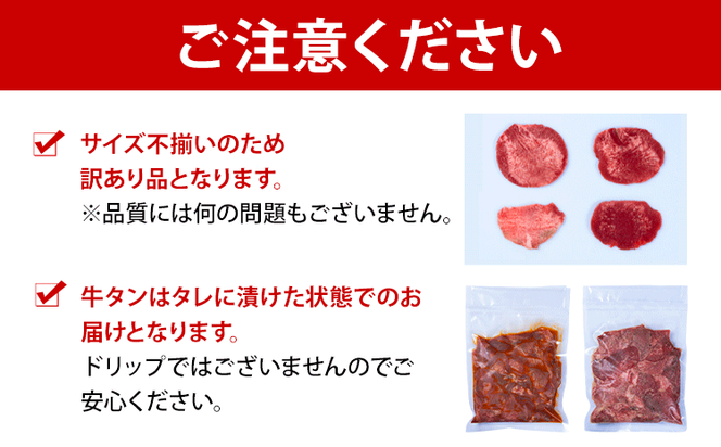 【ふるプレ限定品】牛タン 牛肉  焼肉味 750g《30日以内に出荷予定(土日祝除く)》熊本県 御船町 牛肉 タン たん 牛タン  小分け 牛 牛肉たん タン中 タン元 牛タン ---mifune_lcl_466_1py---