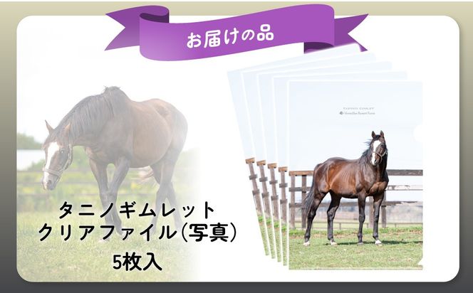 【破壊神タニノギムレット】クリアファイル5枚入り BRTV112