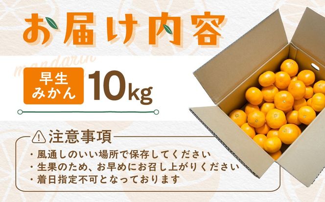 【先行受付】【数量限定】早生みかん（生果）10kg（2026年11月上旬より順次発送）IKTQ002