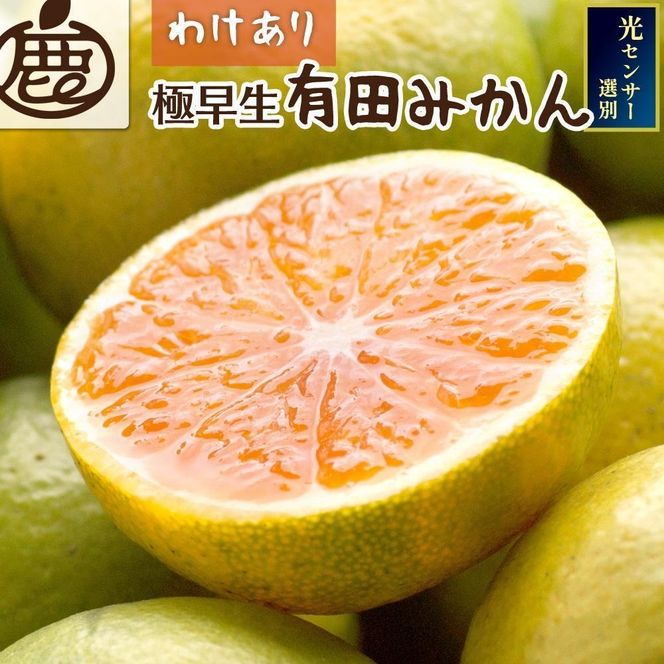 ［先行予約］家庭用 有田みかん（極早生）10kg+250g（傷み補償分）CZ155