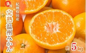 【先行予約】紀州有田産 濃厚完熟 温州みかん 5kg ※2026年11月下旬～2027年1月下旬頃に順次発送予定 / みかん ミカン 蜜柑 温州みかん 柑橘 フルーツ 果物 くだもの 和歌山【uot006】