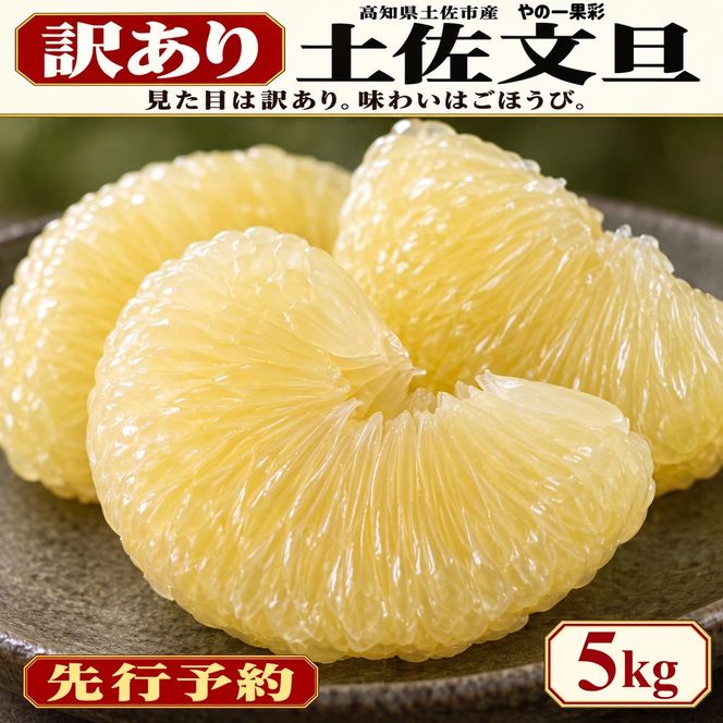 土佐文旦 訳あり 5kg 家庭用 サイズおまかせ M～4L 日本ギフト大賞受賞 文旦発祥の地 園主こだわり 規格外 不揃い 大玉 小玉 高知県土佐市産 高知県産 国産 5キロ ぶんたん みかん 柑橘類 高級フルーツ 果物 わけあり 産地直送 お取り寄せ 先行予約 やの一果彩[BQAC023]