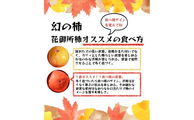 【先行予約】【鳥取市産・良品】花御所柿 約5kg｜甘柿最高クラスの糖度 追熟でとろける食感 和製マンゴーとも称される希少ブランド柿 312011_GN005