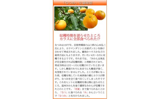 初夏のみかん　なつみ3kg　※2027年4月中旬頃～2027年4月末頃に順次発送予定（お届け日指定不可）【uot753A】