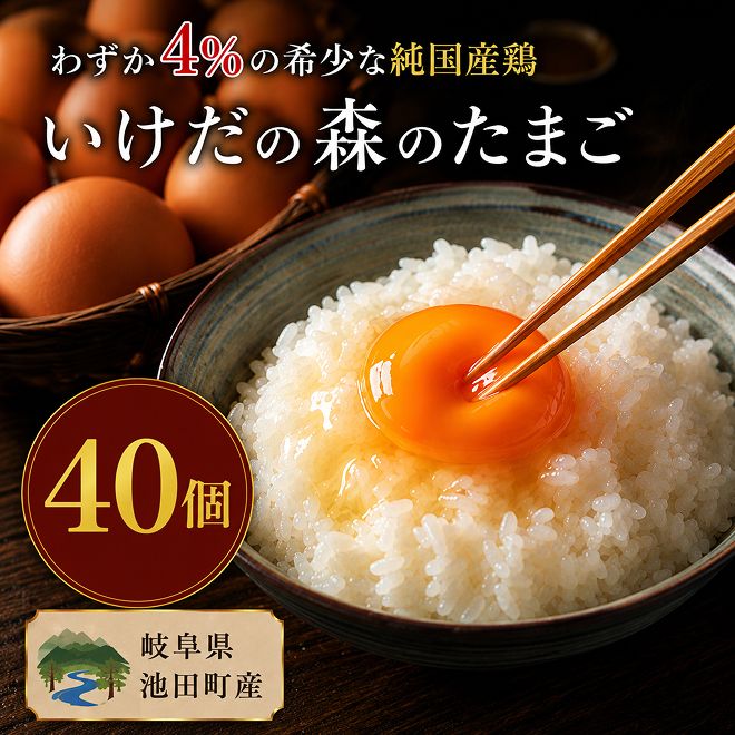 卵 わずか4%の希少な純国産鶏 いけだの森たまご 40個 こだわり おこめのたまご 玉子 鶏卵 生卵 産地直送 冷蔵配送 TKG 卵かけご飯 岐阜県産 