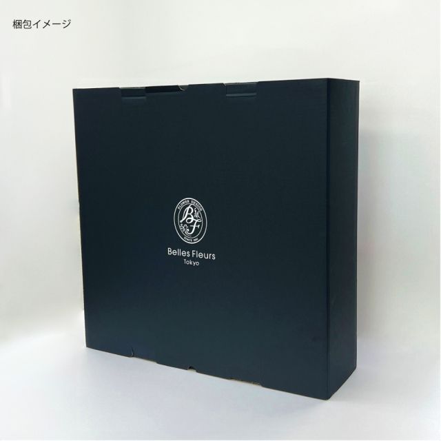 グリーンフレーム２L 花 お花 プリザーブドフラワー ギフト プレゼント お祝い 誕生日 お供え アレンジ インテリア 東京都 墨田区