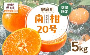 【先行受付】【数量限定】【家庭用】南柑20号（生果）5kg（2026年12月上旬頃より順次発送） IKTQ011