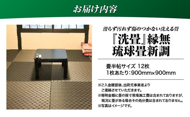 現代の名工カンパニー特製！ペット・介護向けペット・介護用滑らず汚れず傷のつかない洗える畳『洗畳』縁無琉球畳新調6帖サイズ（畳半帖サイズ12枚）　K348-010