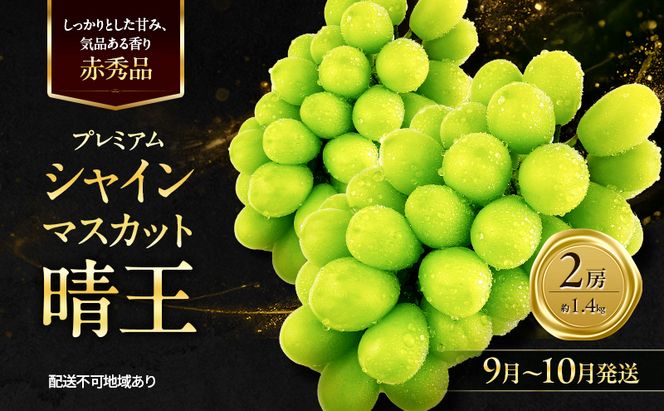 ぶどう 2026年 先行予約 赤秀ぶどう プレミアム シャインマスカット 晴王 2房 1.4kg 9月～10月発送 船穂産 赤秀品 皮ごと食べる みずみずしい 糖度保証 岡山県産 満天フルーツ