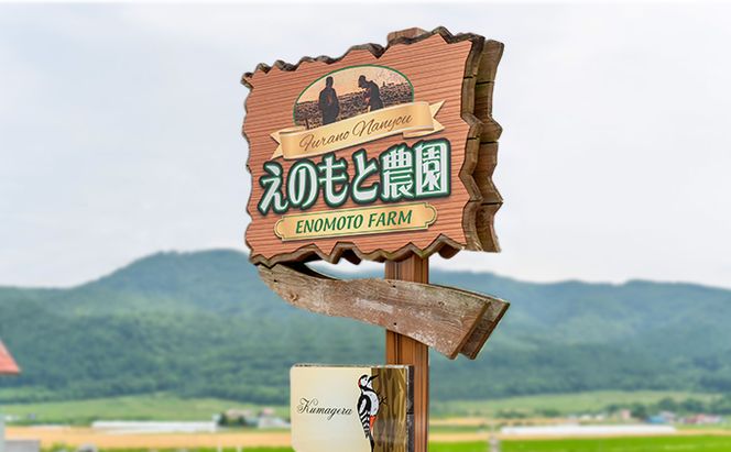 【2026年夏発送】北海道 富良野産 赤肉メロン 3玉 計4.5kg以上 ふらの メロン ギフト 果物 赤玉(榎本農園) メロン フルーツ 果物 新鮮 甘い 贈り物 ギフト 道産 ジューシー おやつ ふらの ブランド 夏 