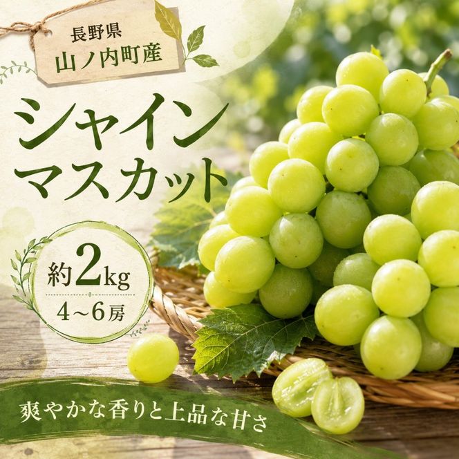 【2026年9月～発送】シャインマスカット約2kg 4～6房 長野県産