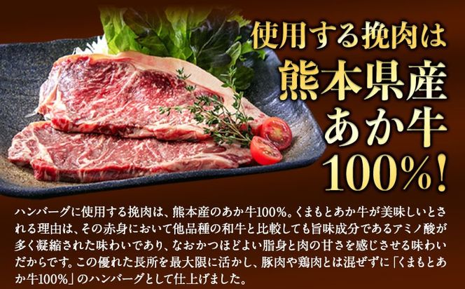 熊本県産あか牛100%生ハンバーグ 140g×13個入り 合計1820g 1.82kg以上《30日以内に出荷予定(土日祝除く)》熊本県産あか牛 冷凍---mna_faknhamv_30d_r8_13000_1820g---