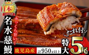 鹿児島県産うなぎ蒲焼 名水慈鰻 特大5尾(1尾190g以上)＜計950g以上＞ c5-035