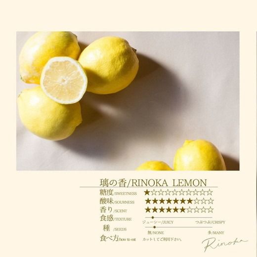 レモン りのか 3kg | 国産 れもん 璃の香 檸檬 ワックス 防腐剤 不使用 フルーツ くだもの 果物 数量限定 愛知県 美浜町 ※北海道・沖縄・離島への配送不可 ※2026年1月中旬～2月中旬頃に順次発送予定