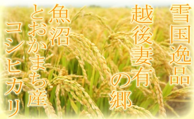 【令和8年産 先行予約】●定期便●【雪国逸品2kg×9ヶ月】 越後妻有の郷 魚沼十日町産コシヒカリ お米 精米 白米 良質 ミネラル 極上 新鮮 香り つや 粘り