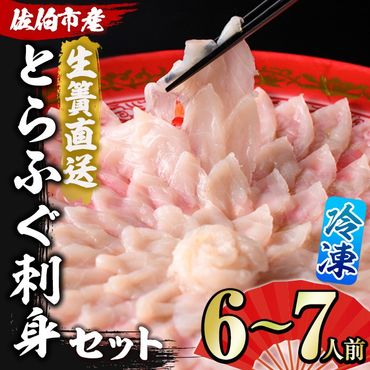 ＜瞬間凍結＞生簀直送 とらふぐ 刺身 セット (6-7人前) 魚 鮮魚 ふぐ 河豚 刺し身 刺身 さしみ ポン酢 もみじおろし 冷凍 佐伯 養殖 大分県 佐伯市【EA31】【(株)トーワ】