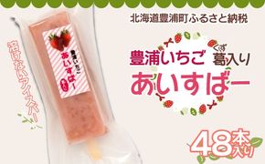 北海道 豊浦町 いちご アイス バー 48本 TYUN023